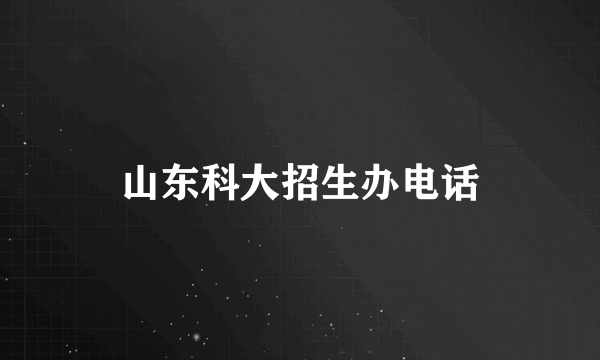 山东科大招生办电话