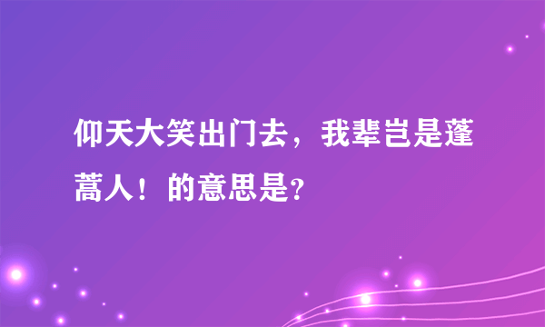 仰天大笑出门去，我辈岂是蓬蒿人！的意思是？