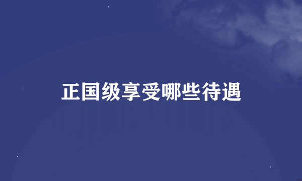 正国级享受哪些待遇