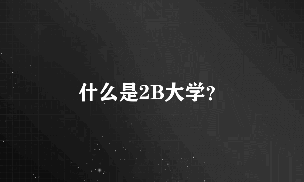 什么是2B大学？