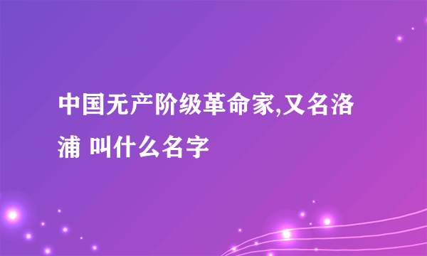 中国无产阶级革命家,又名洛浦 叫什么名字