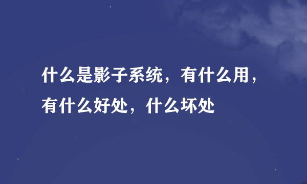 什么是影子系统，有什么用，有什么好处，什么坏处