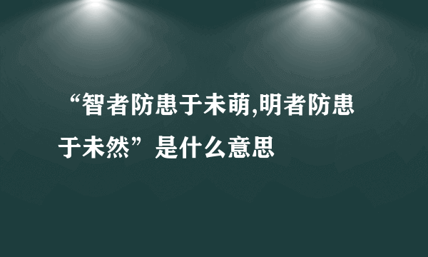 “智者防患于未萌,明者防患于未然”是什么意思