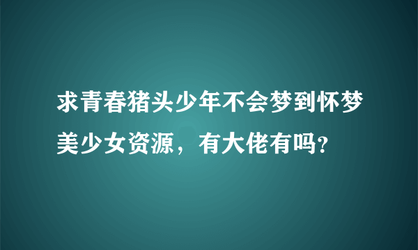 求青春猪头少年不会梦到怀梦美少女资源，有大佬有吗？