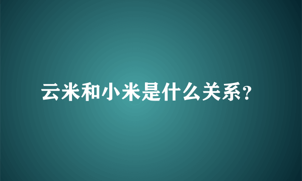 云米和小米是什么关系？