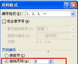 Word2007怎样从任意页开始设置页码