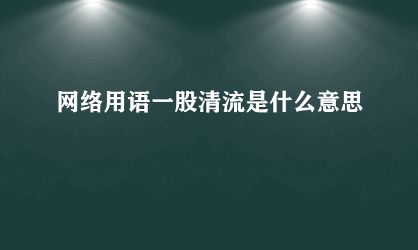 网络用语一股清流是什么意思