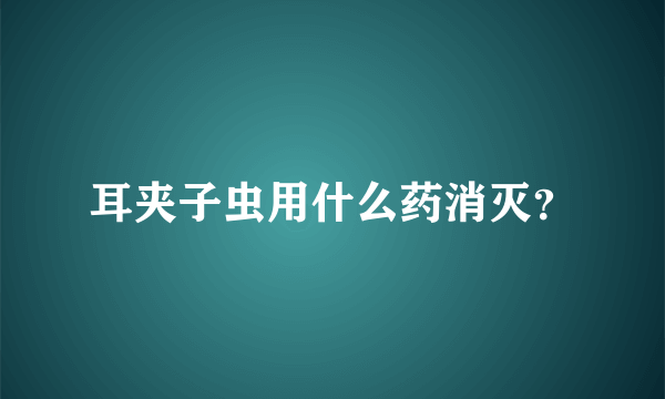 耳夹子虫用什么药消灭？