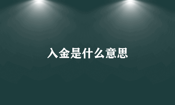 入金是什么意思