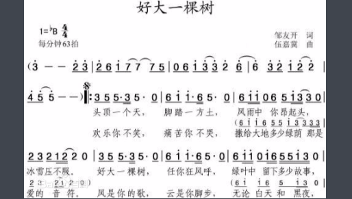 《好大一棵树》这首歌是写给谁的？