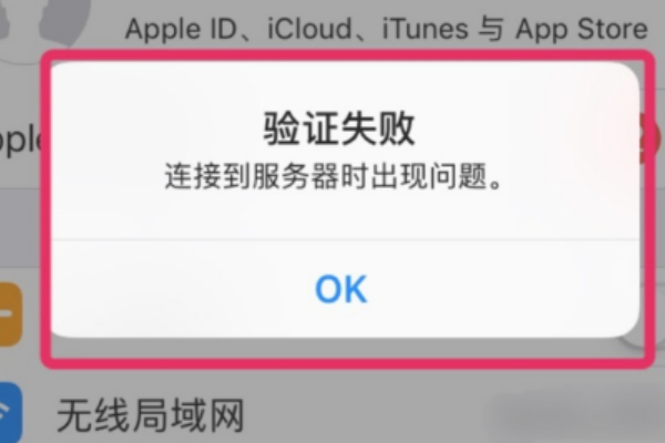苹果手机连接服务器时出现问题