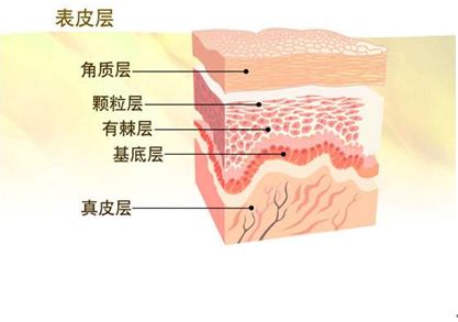 角质层薄的表现是什么？