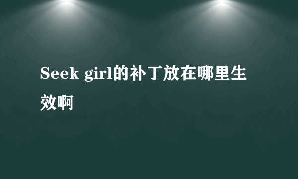 Seek girl的补丁放在哪里生效啊