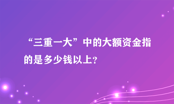 “三重一大”中的大额资金指的是多少钱以上？