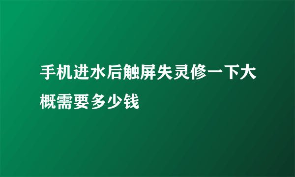 手机进水后触屏失灵修一下大概需要多少钱