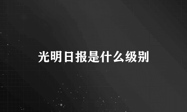 光明日报是什么级别