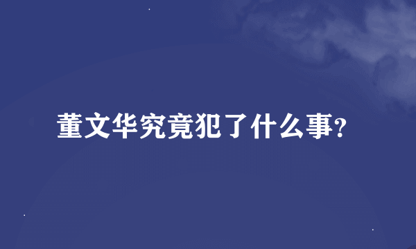 董文华究竟犯了什么事？