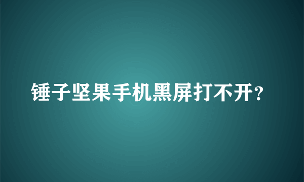 锤子坚果手机黑屏打不开？