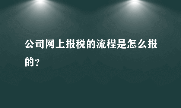 公司网上报税的流程是怎么报的？