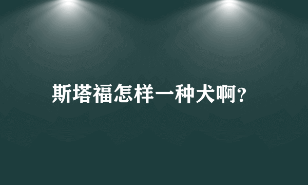 斯塔福怎样一种犬啊？