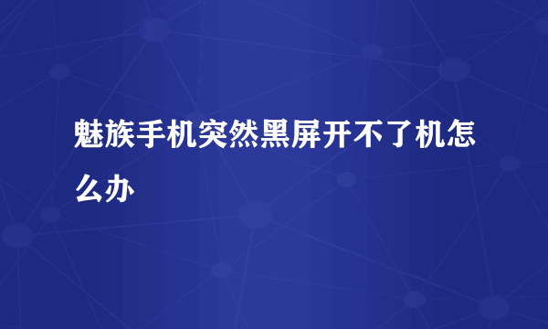 魅族手机突然黑屏开不了机怎么办