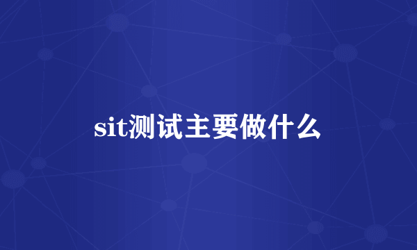 sit测试主要做什么