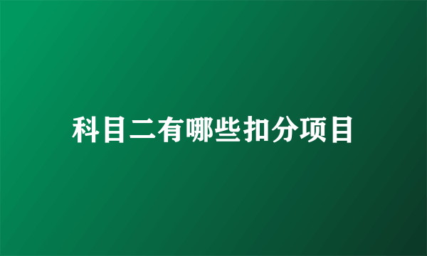 科目二有哪些扣分项目