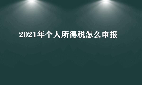 2021年个人所得税怎么申报