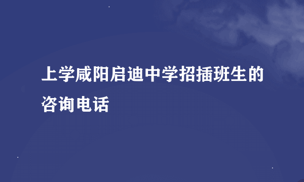 上学咸阳启迪中学招插班生的咨询电话