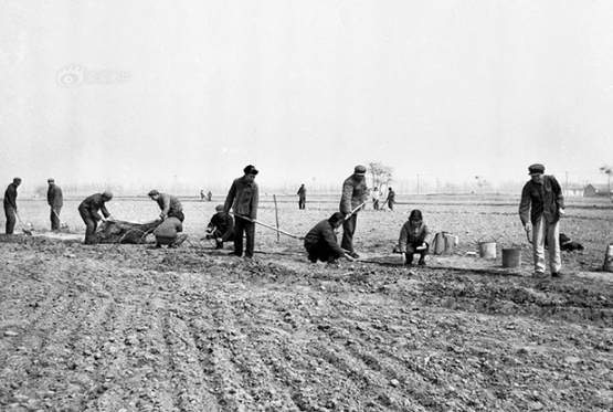 20世纪60年代前期，为克服困难、恢复生产，许多地方的农村自发搞起了各种形式的（ ）。