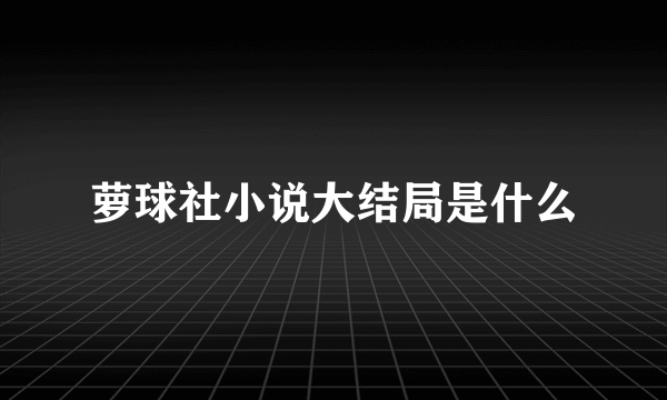 萝球社小说大结局是什么