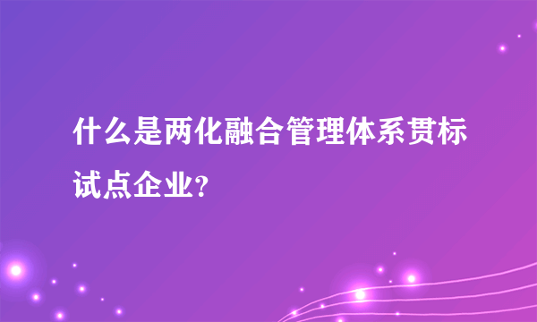 什么是两化融合管理体系贯标试点企业？