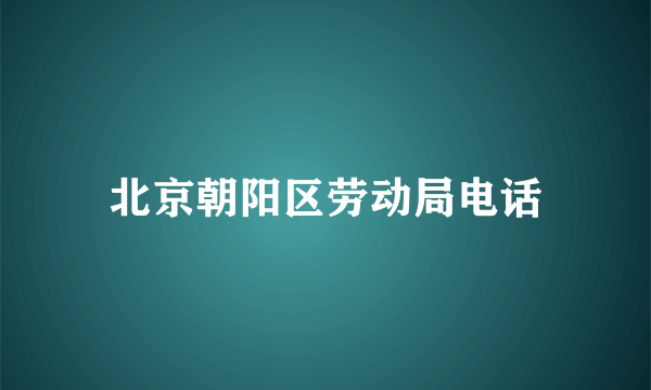 北京朝阳区劳动局电话