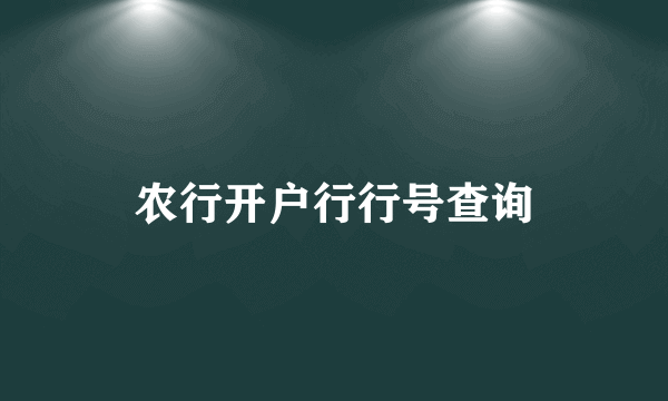 农行开户行行号查询