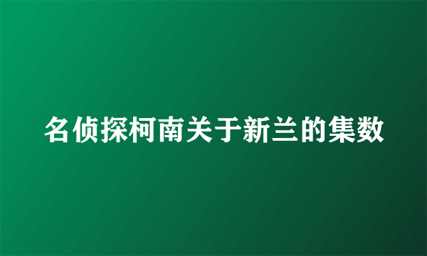 名侦探柯南关于新兰的集数