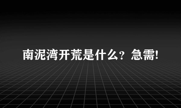 南泥湾开荒是什么？急需!