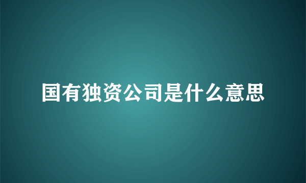 国有独资公司是什么意思