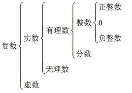 零是什么数??