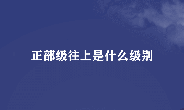 正部级往上是什么级别