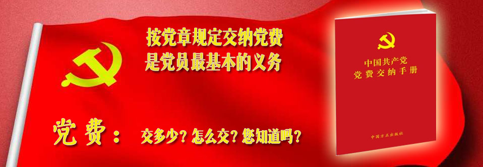 退休党员党费缴纳标准是什么？