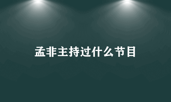 孟非主持过什么节目