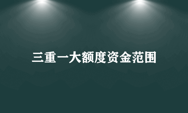 三重一大额度资金范围