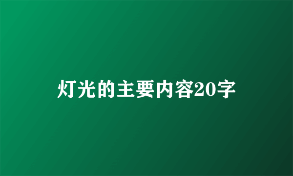 灯光的主要内容20字