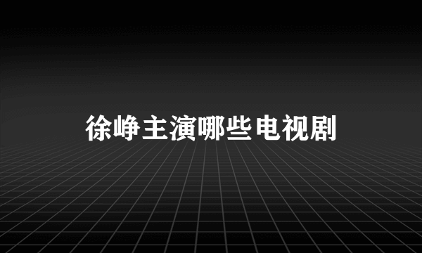 徐峥主演哪些电视剧