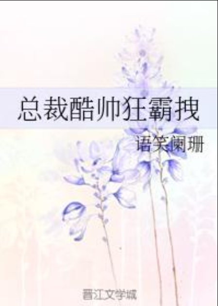 求 总裁酷帅狂霸拽全加番外 txt