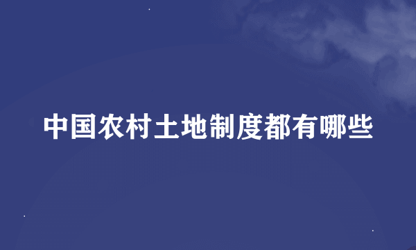 中国农村土地制度都有哪些