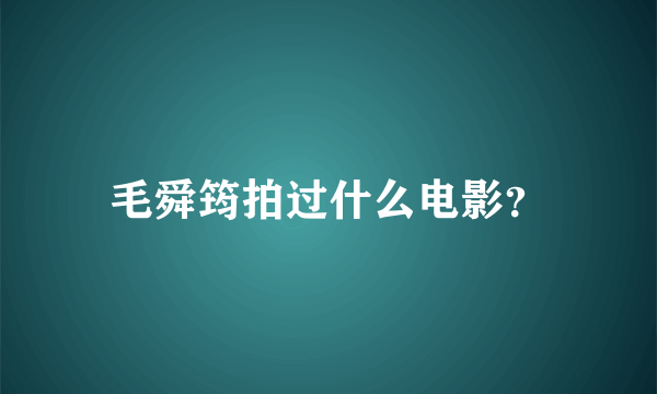 毛舜筠拍过什么电影？