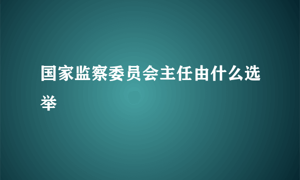 国家监察委员会主任由什么选举