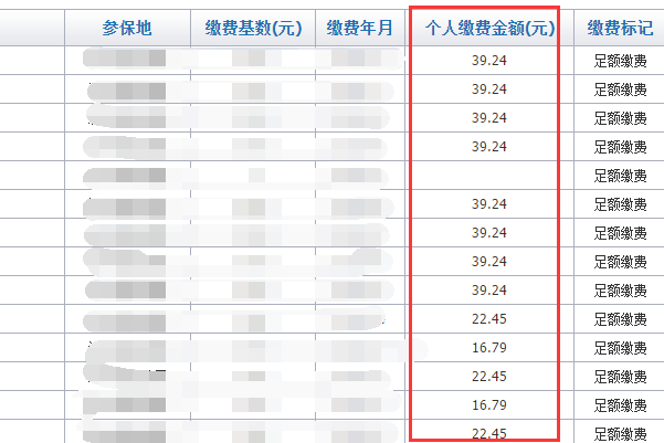 沈阳市失业保险个人缴费记录怎么查询