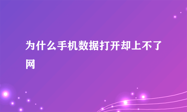 为什么手机数据打开却上不了网